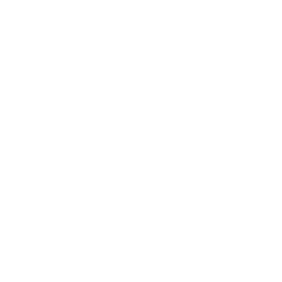 Image icon